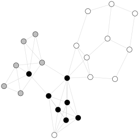 cohesive_subgroups_coloredbyrace4